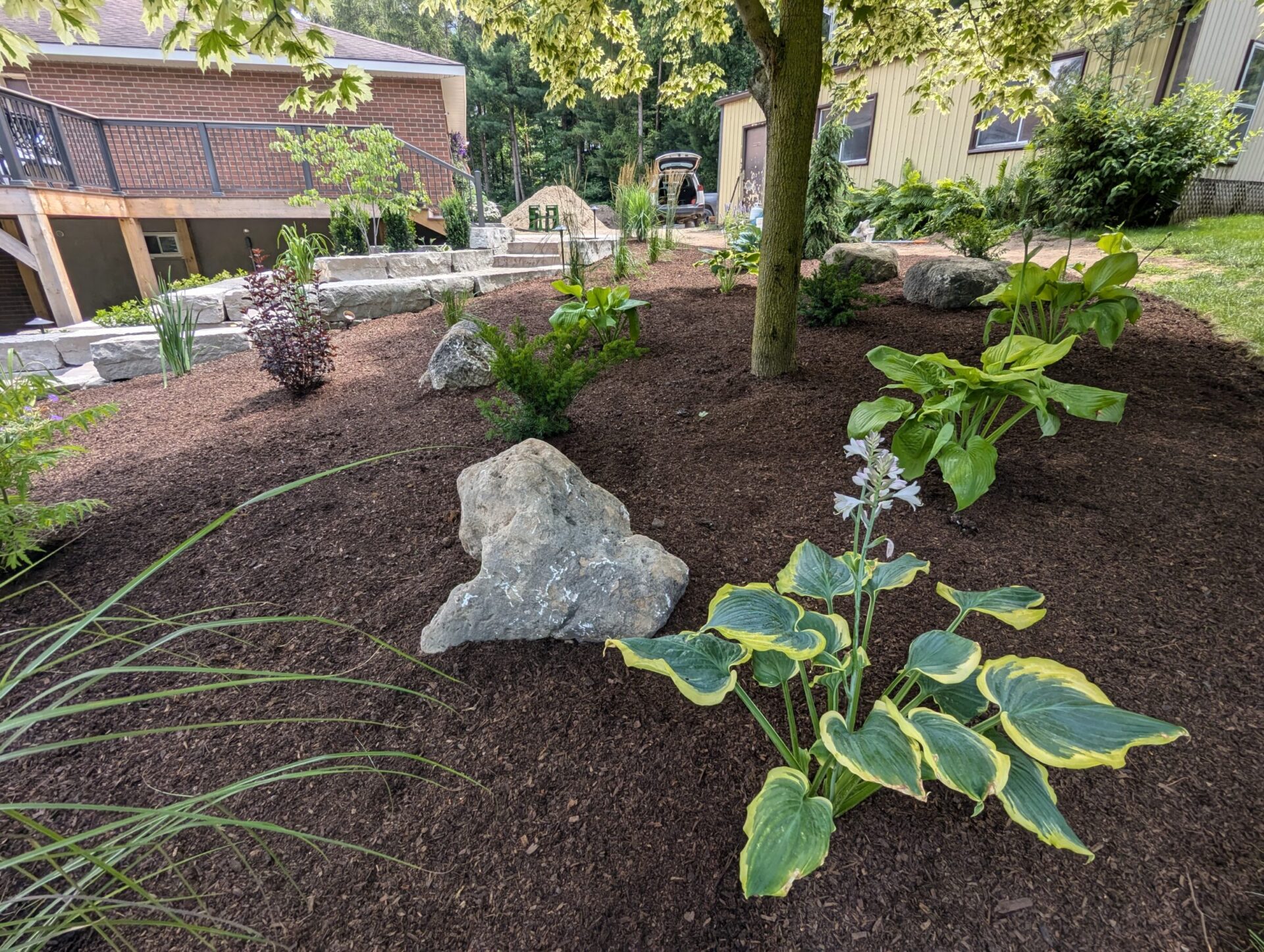 A landscaped garden with hostas, trees, and large rocks is adjacent to a modern house, creating a serene outdoor space.