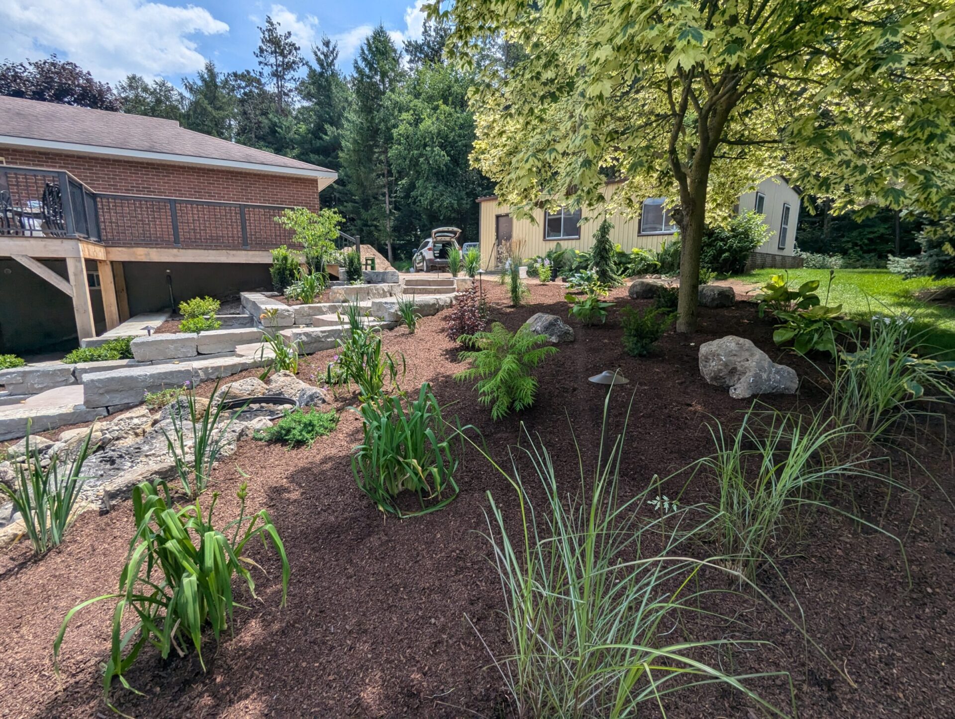 A landscaped garden with young plants, rocks, and trees surrounds a house with a wooden deck and railing, beside a wooded area.