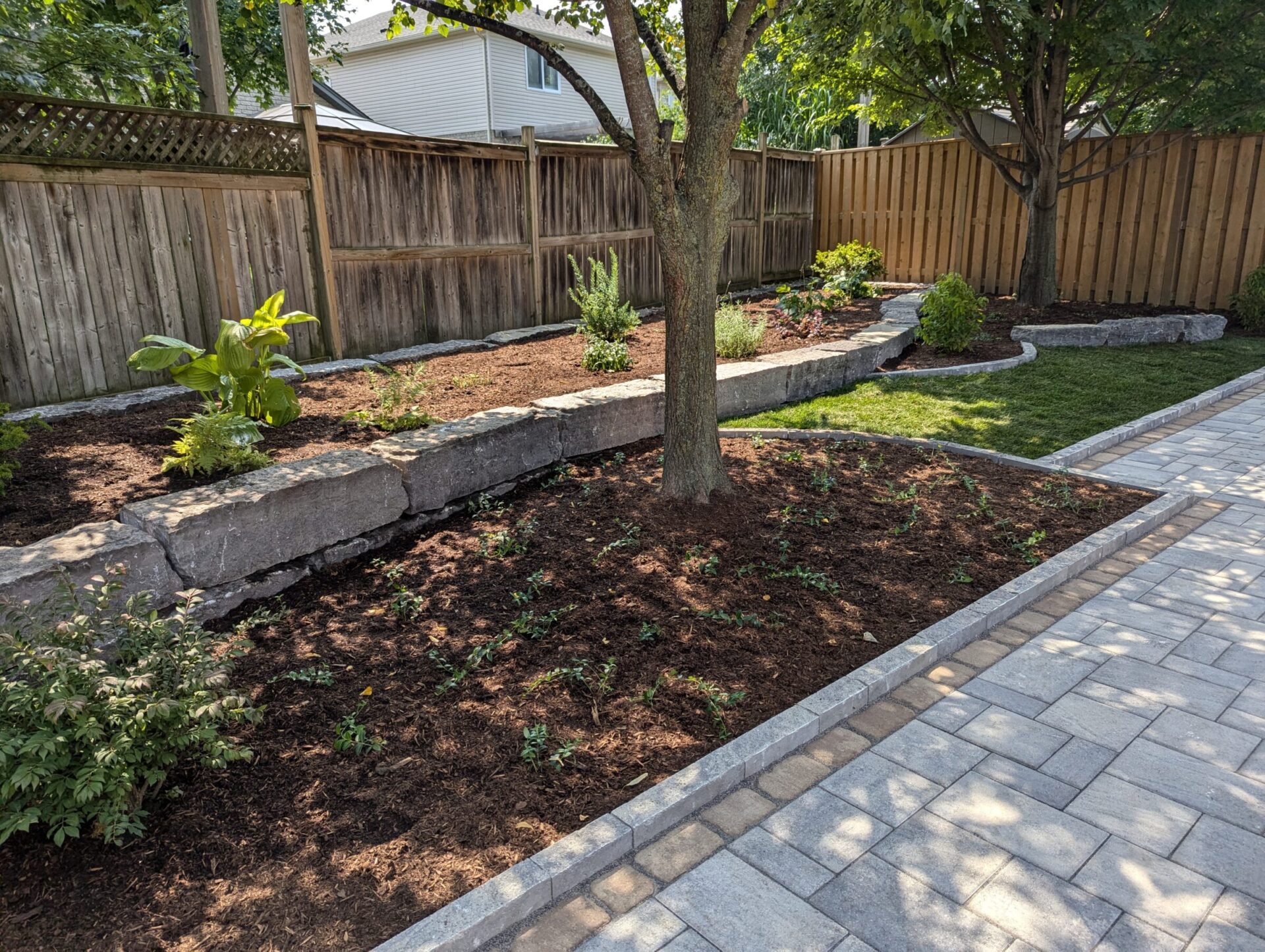 A well-maintained garden with stone borders, shrubs, and trees beside a paved pathway and wooden fence, under clear daylight.