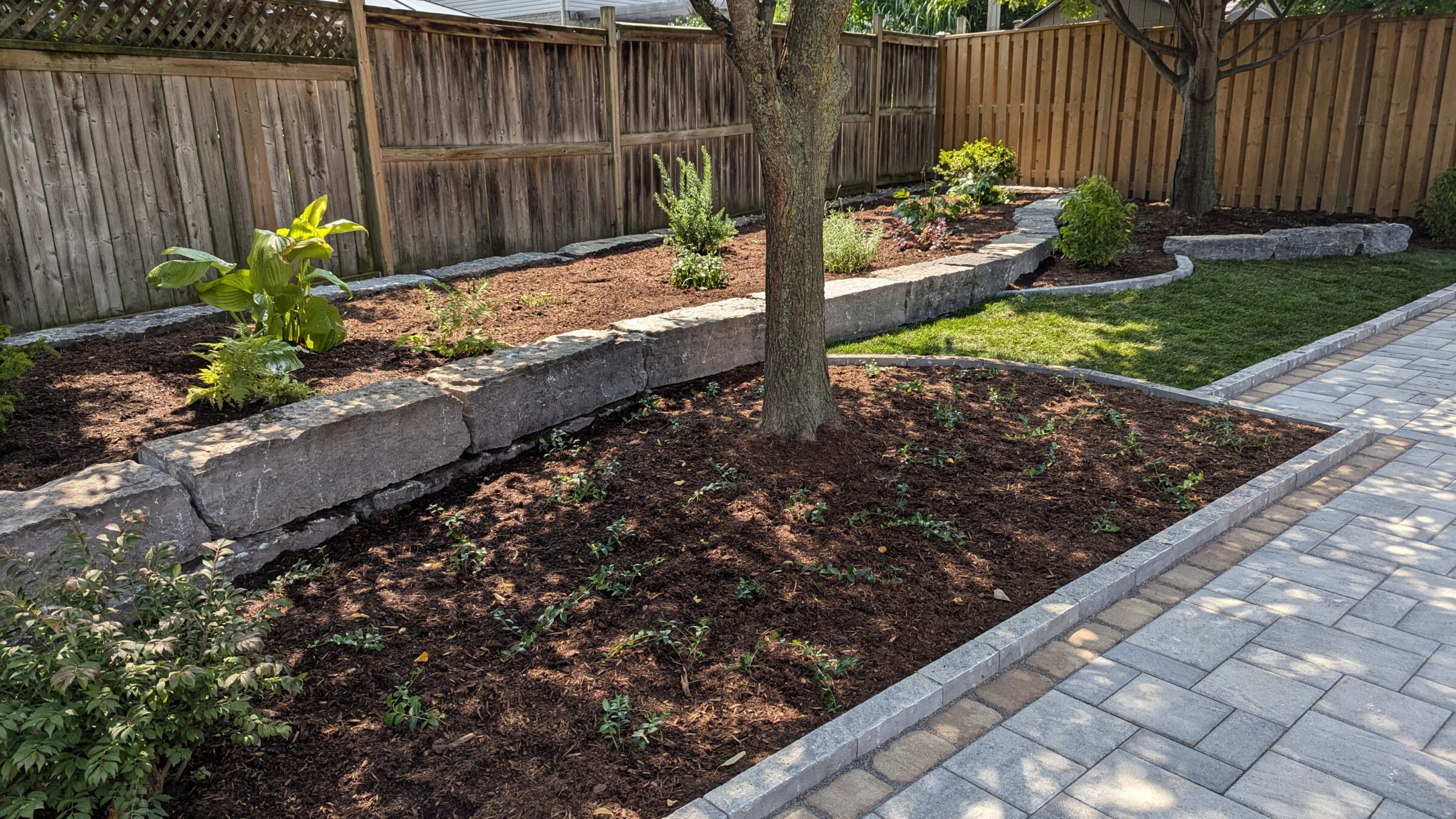 A neatly landscaped backyard features a tree, stone-bordered flower beds, and a paved walkway alongside a wooden fence on a sunny day.