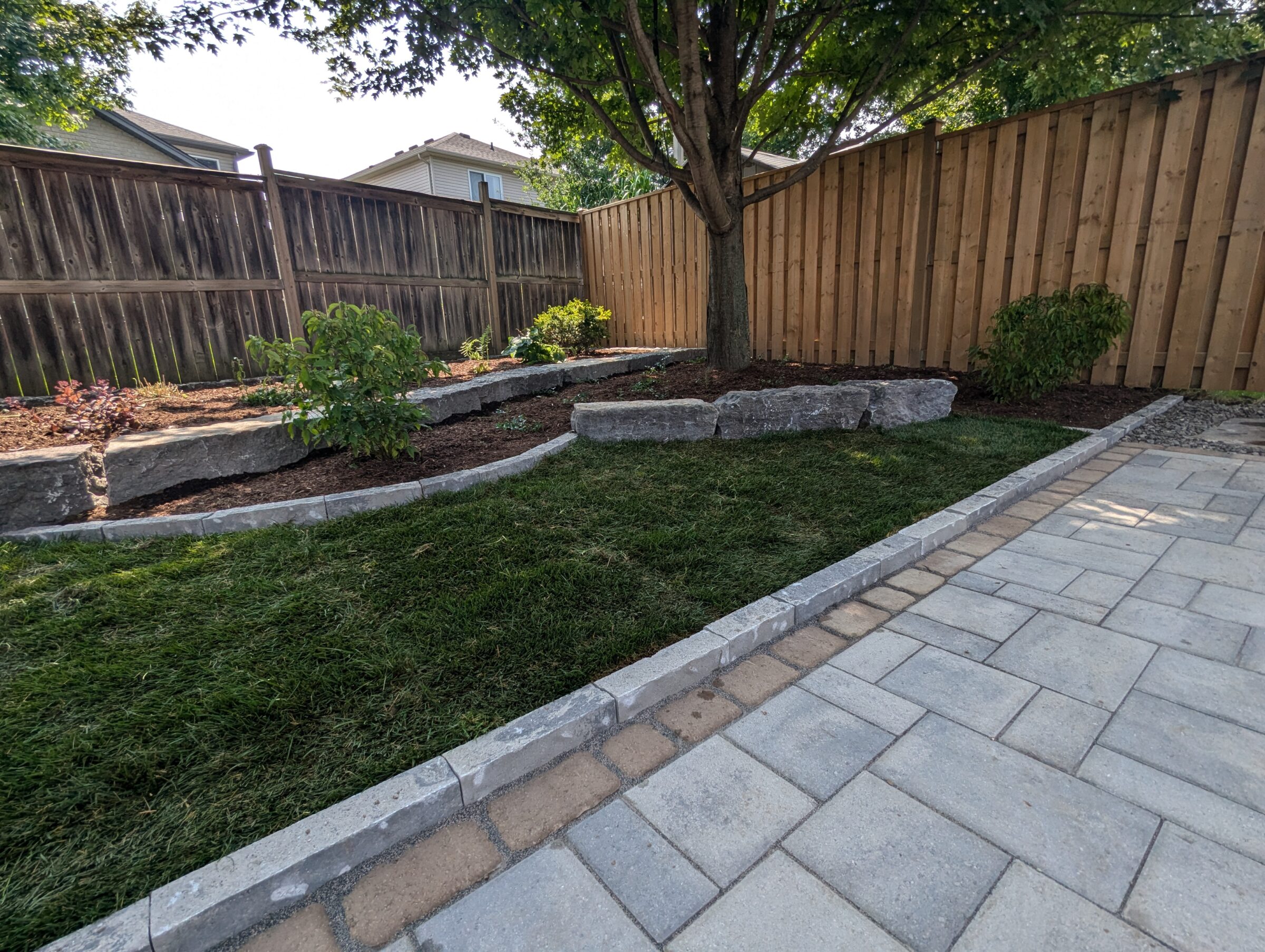 A garden with stone-bordered beds, a tree, pavers, grass, and wooden fences in a residential backyard setting under sunlight.