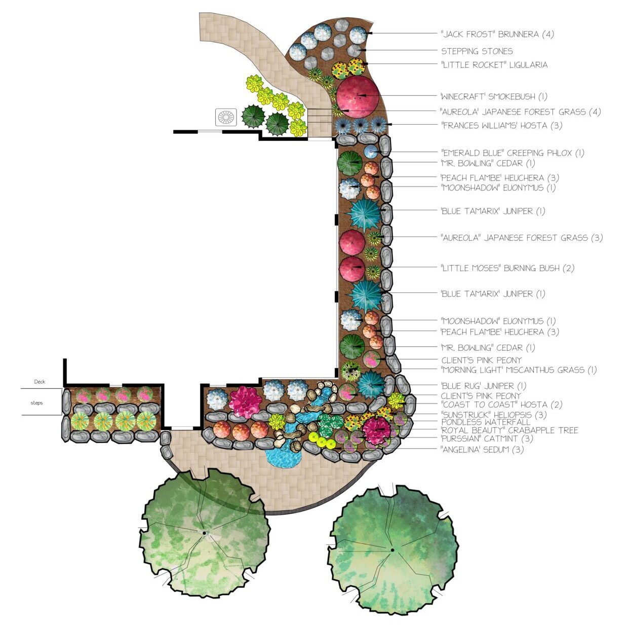 A detailed garden landscape design featuring various plants like Japanese forest grass, hosta, and peony, with pathways and decking elements.