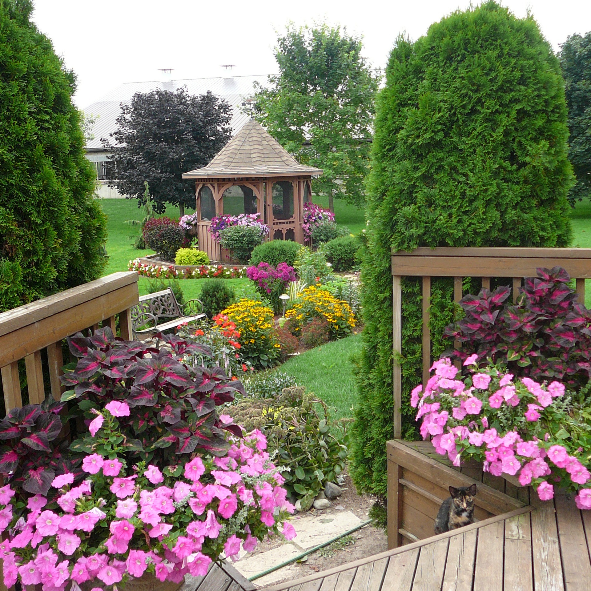 A lush garden with vibrant flowers, a wooden gazebo, and a cat peeking from a deck, surrounded by green trees and shrubs.