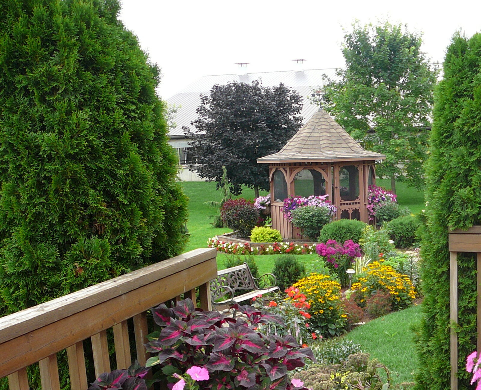 A lush garden with blooming flowers and a wooden gazebo, surrounded by green hedges and a wooden deck adorned with colorful plants.