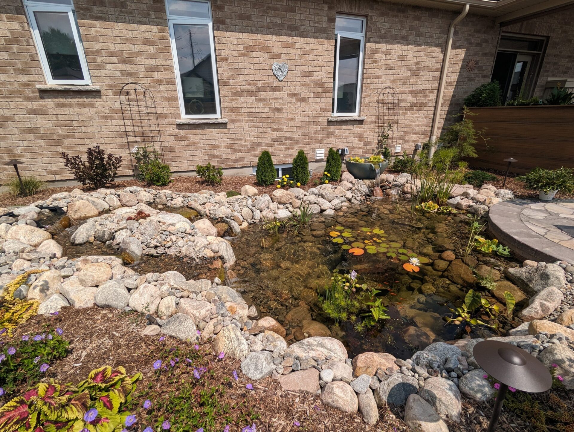 A small garden pond with water lilies, surrounded by rocks and flowers, situated near a brick house with several windows.