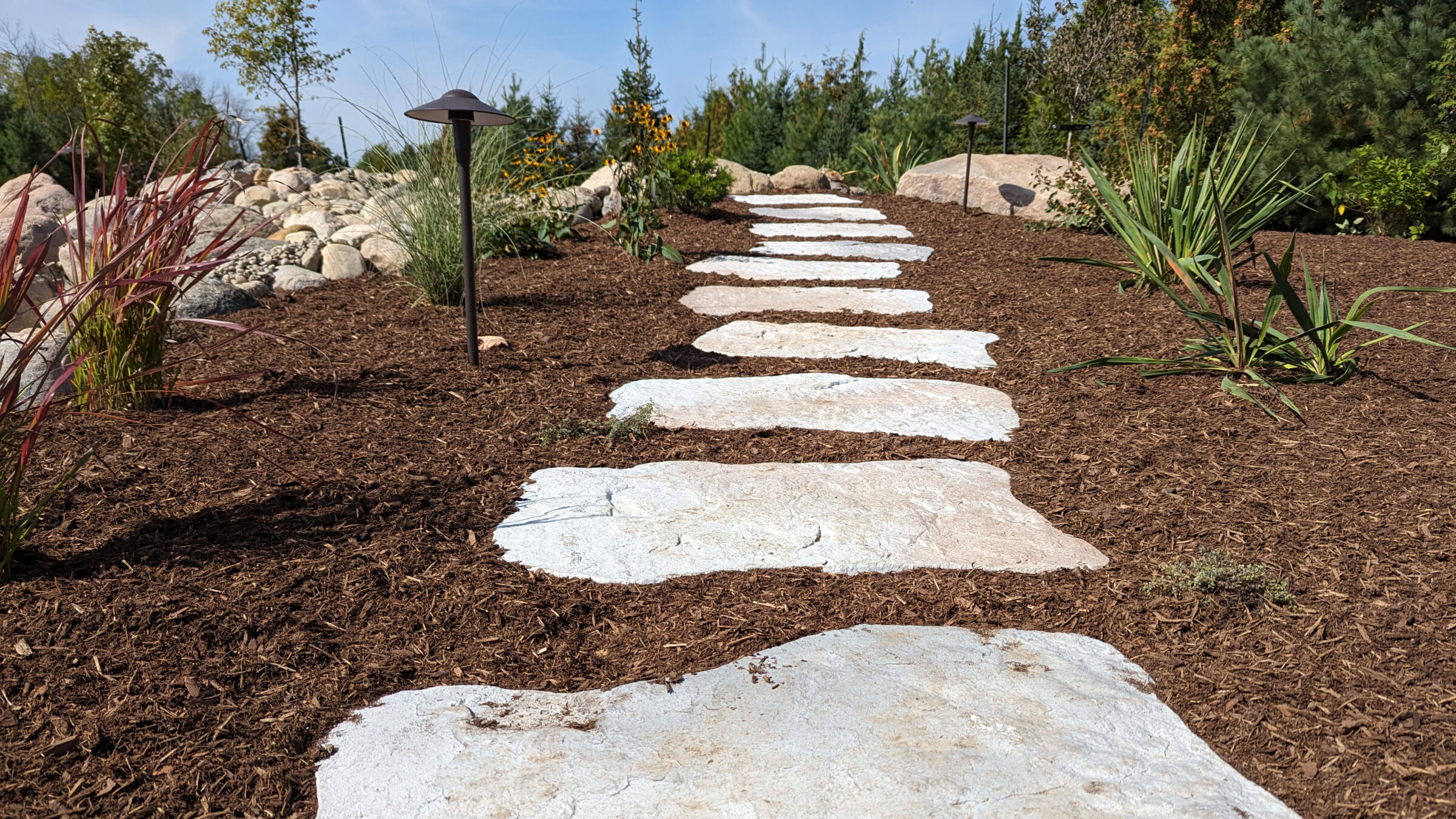 Stone path bordered by mulch, surrounded by plants and small trees under a clear sky, with landscape lighting along the edges.
