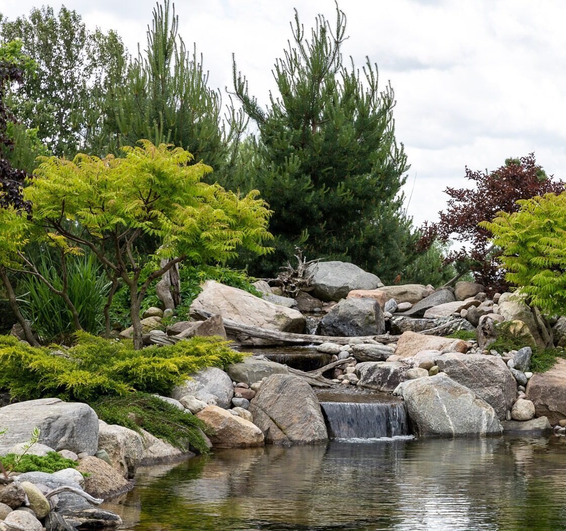 A tranquil garden scene with a small waterfall cascading over rocks into a pond, surrounded by lush greenery and various trees.