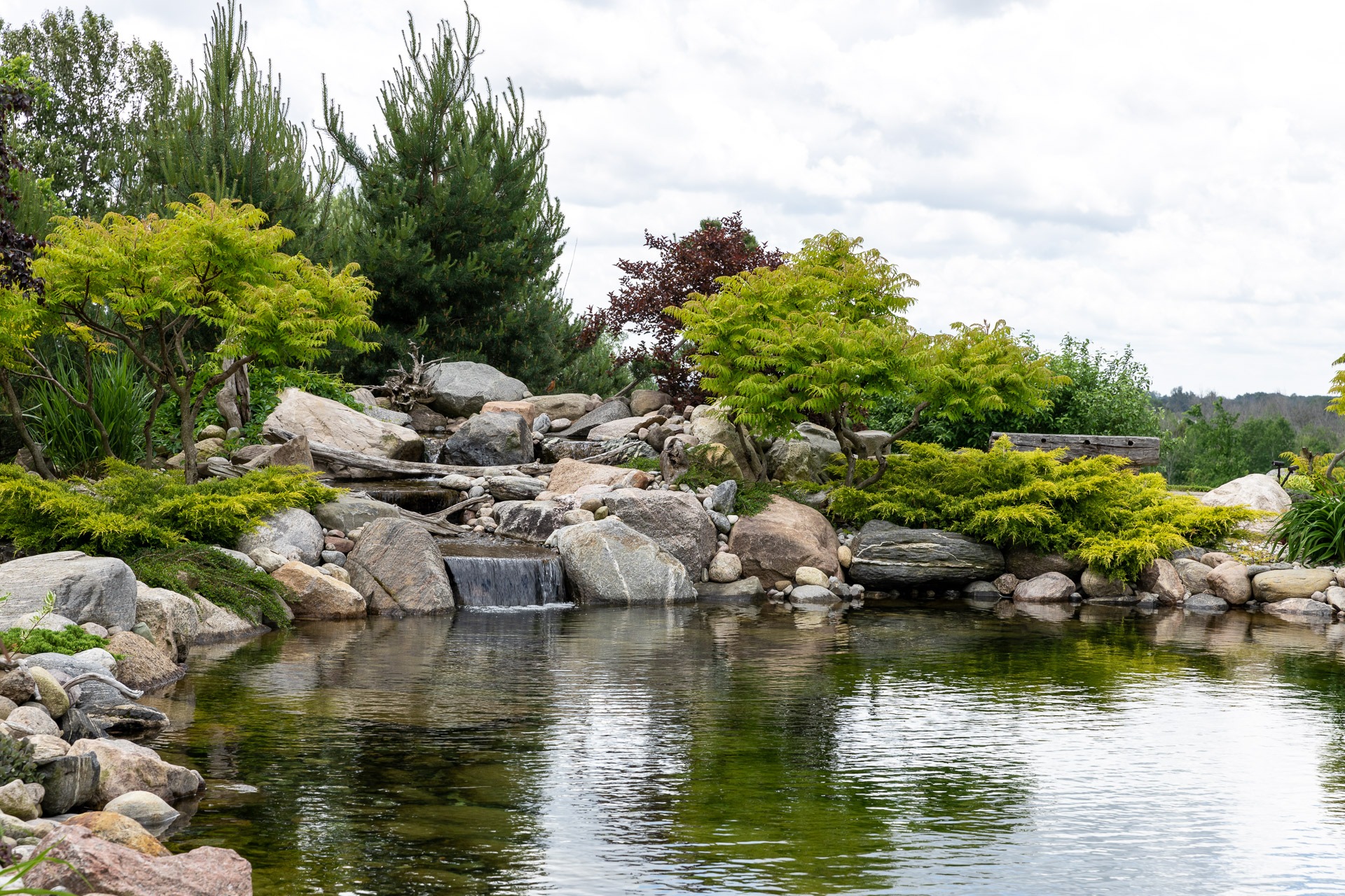 A tranquil garden scene with a small waterfall cascading over rocks into a pond, surrounded by lush greenery and various trees.