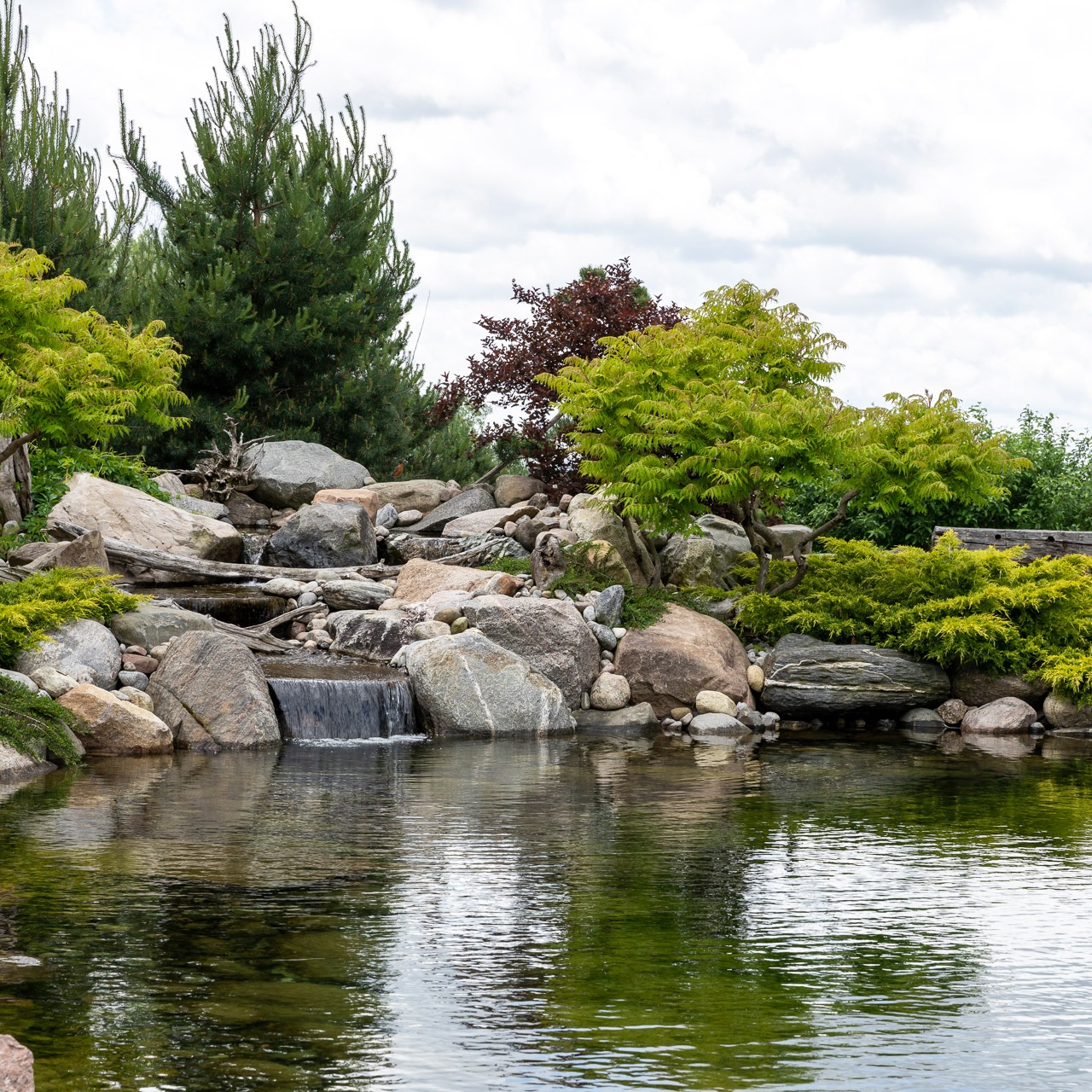 A peaceful garden pond with cascading waterfall, surrounded by rocks and lush greenery, reflecting trees and sky on its tranquil surface.