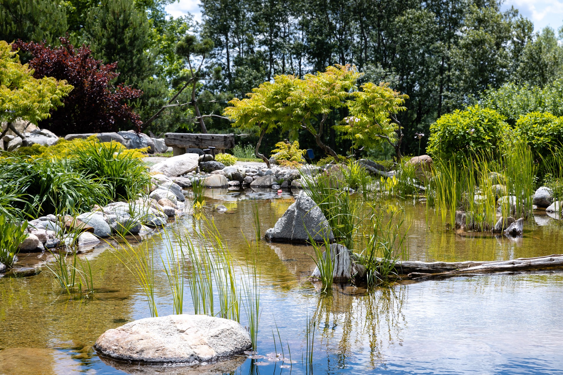 A serene garden pond with rocks, lush greenery, and clear water, surrounded by trees under a partly cloudy sky.