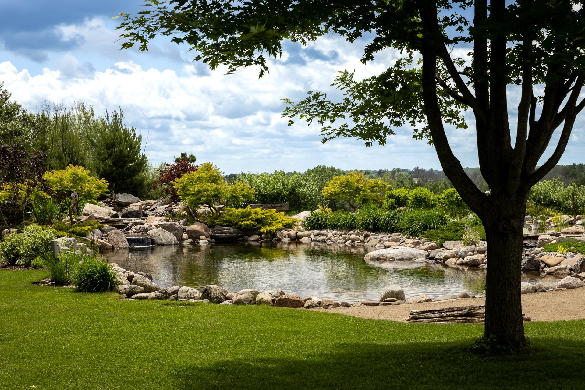 Serene garden scene with a tree, pond, rocks, and lush greenery under a partly cloudy sky, offering a tranquil natural landscape.