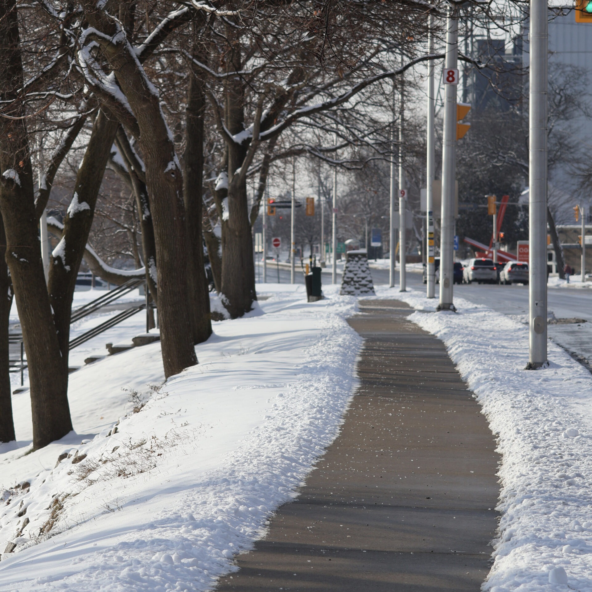 Snow-covered sidewalk lined with trees under a clear sky. Traffic signals and vehicles in the background. Peaceful winter urban scene.