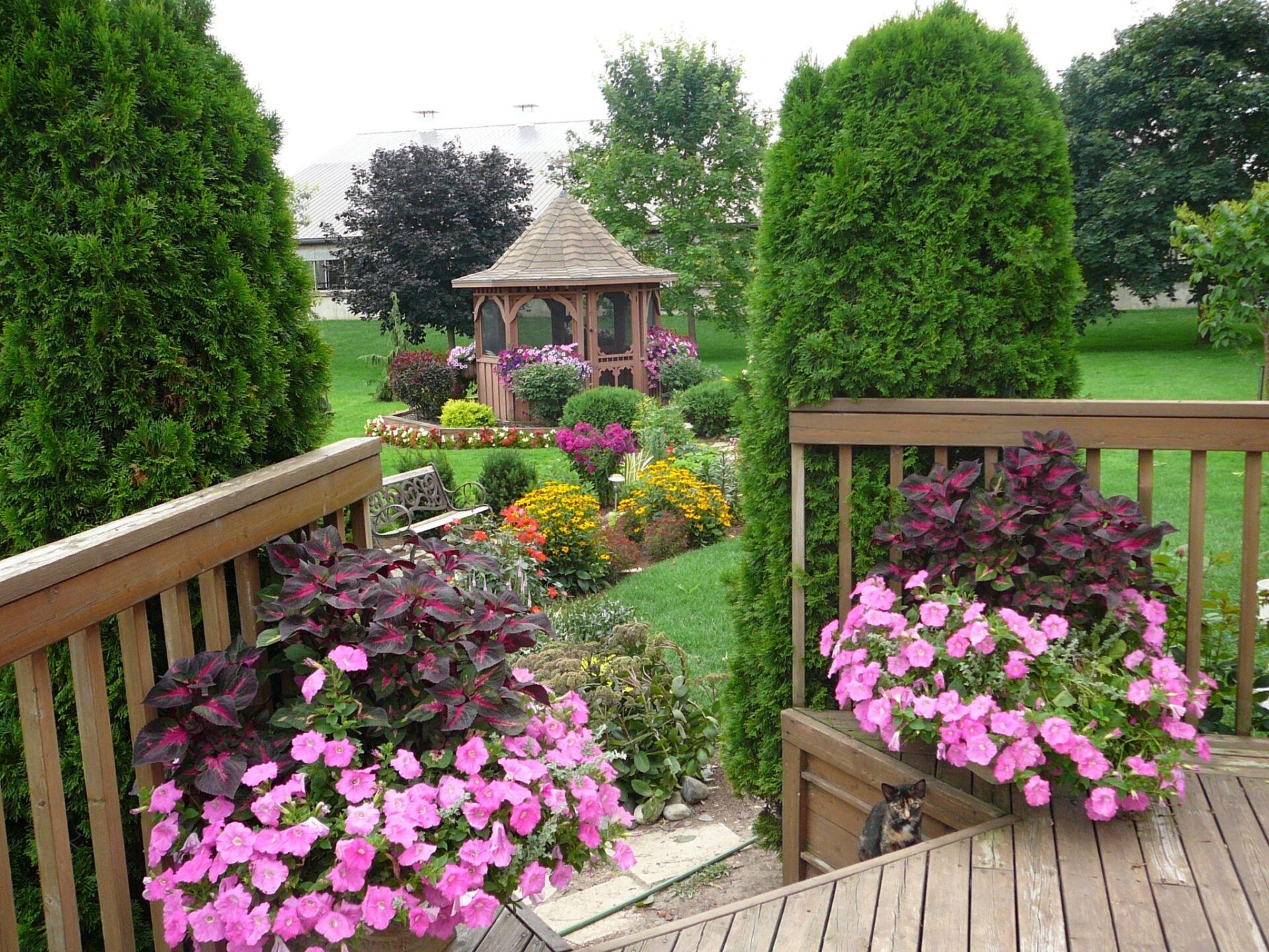 Backyard garden with a wooden gazebo, vivid flower beds, and planters of pink blooms on a deck.