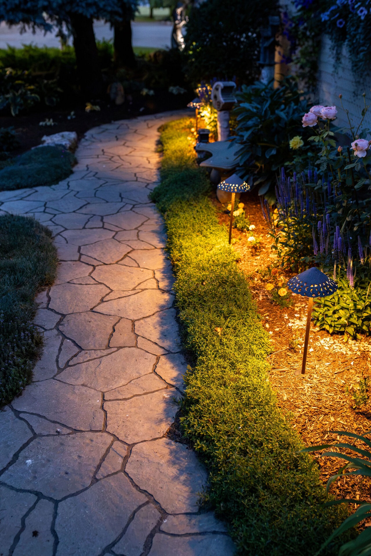 Close-up of mushroom-style path lights illuminating a garden bed with roses